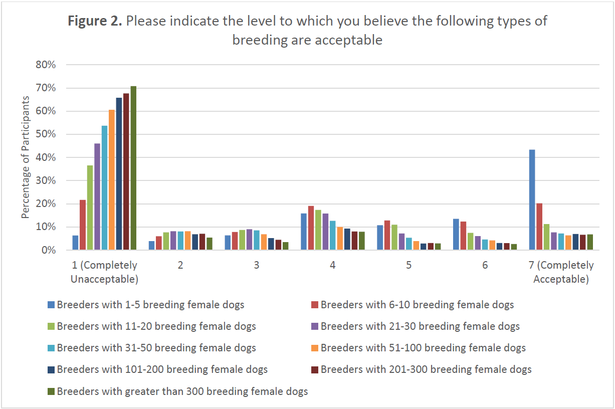 Grouped bar chart showing acceptability ratings (1 = completely unacceptable, 7 = completely acceptable) for breeders with increasing numbers of breeding female dogs. Breeders with 1–5 females were most often rated completely acceptable (7). For 6–10 females, responses were mixed (22% completely unacceptable; 20% completely acceptable). As the number increased, more respondents selected completely unacceptable. For more than 300 females, 71% selected completely unacceptable.